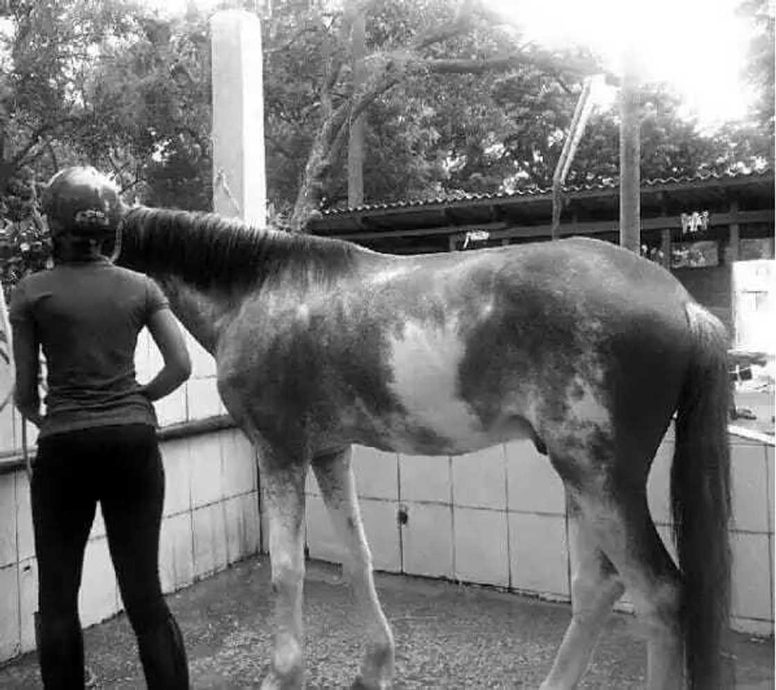 Yar autan shugaban kasa Buhari Yar autan shugaban kasa Buhari