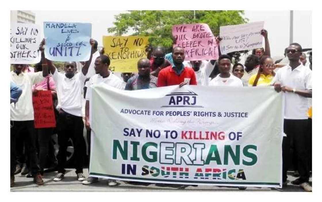 Xenophobia: Why Nigeria didn’t declare war on South Africa - FG Xenophobia: Why Nigeria didn’t declare war on South Africa - FG