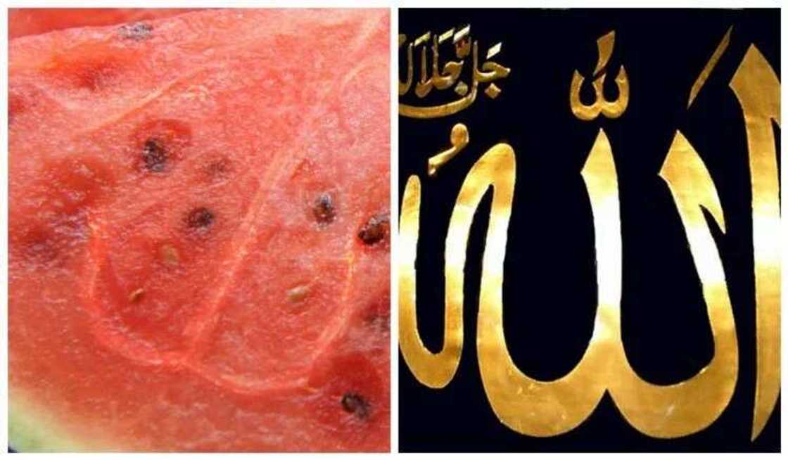 Abun al'ajabi: Sunan Allah ya fito a cikin kankana Abun al'ajabi: Sunan Allah ya fito a cikin kankana