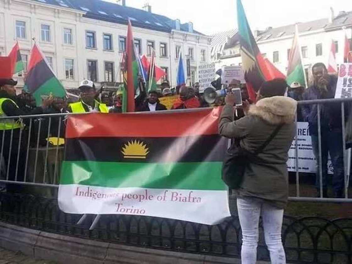 Biafrans across Europe storm EU parliament (photos/video)