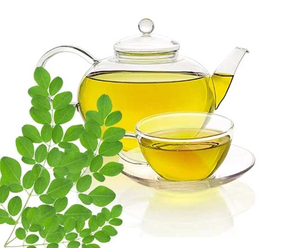 Amfanin zogale 10 a jikin dan adam Amfanin zogale 10 a jikin dan adam