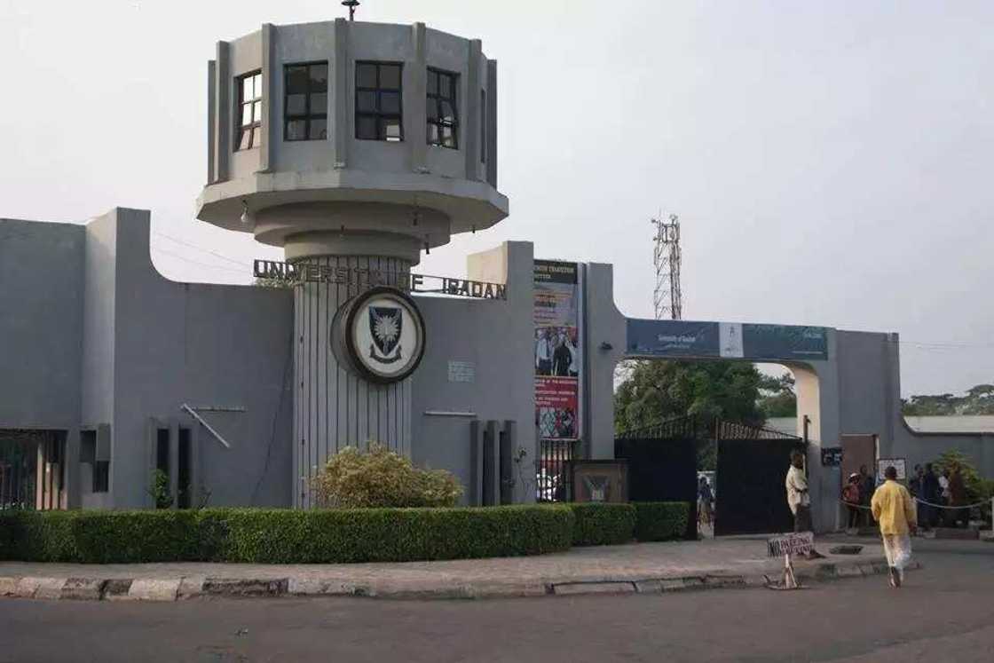 University Ibadan University Ibadan