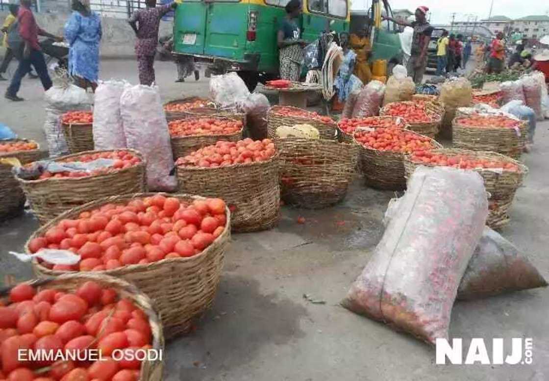 Rice now sells for N17,500 per bag as eid-el-kabir approaches