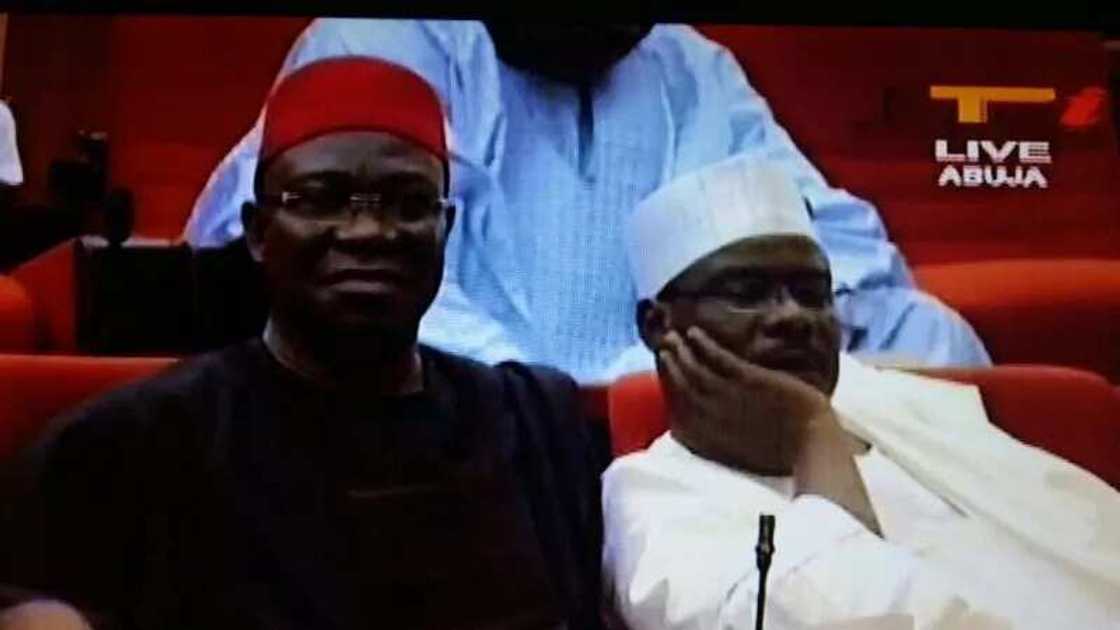 DRAMA, BLACKOUT As Nominees Undergo Screening DRAMA, BLACKOUT As Nominees Undergo Screening