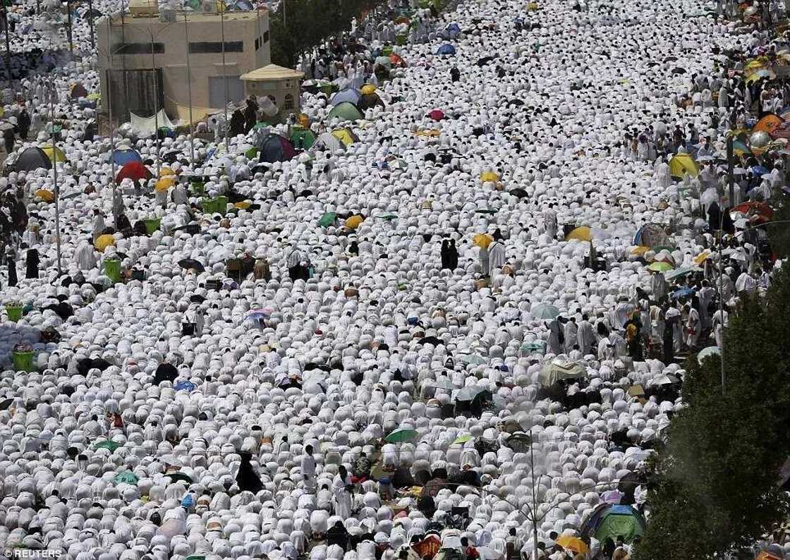 Muslims Gather At Mount Arafat To Mark Peak Of Hajj 2015 Muslims Gather At Mount Arafat To Mark Peak Of Hajj 2015