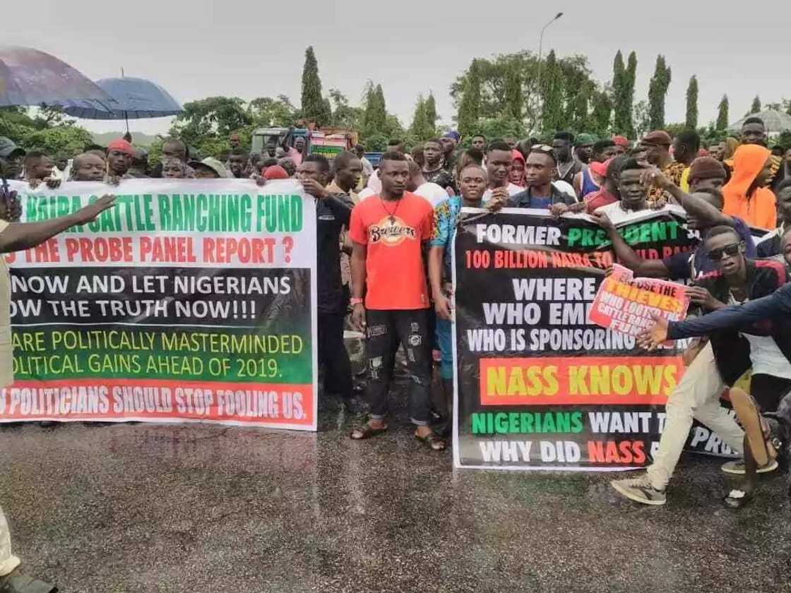 Group protest in National Assembly over alleged misappropriation of ranching fund (photos) Group protest in National Assembly over alleged misappropriation of ranching fund (photos)