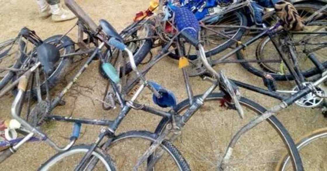 Nigerian troops ambush Boko Haram terrorists in Borno, many killed Nigerian troops ambush Boko Haram terrorists in Borno, many killed