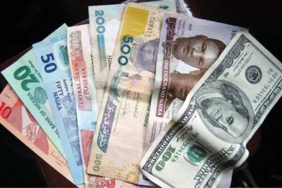 Madalla! Darajar Naira ta kara yin sama a kasuwar 'yan canji Madalla! Darajar Naira ta kara yin sama a kasuwar 'yan canji