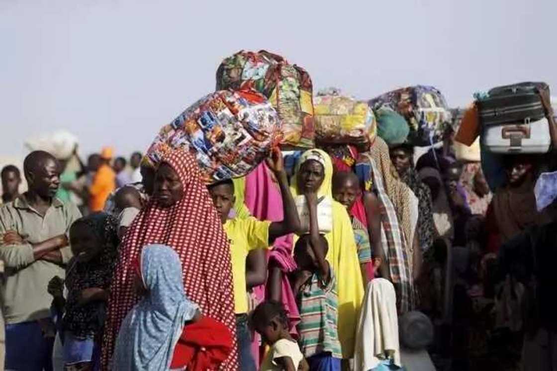 Insurgency: Borno to evacuate 78,000 IDPs from Cameroon Insurgency: Borno to evacuate 78,000 IDPs from Cameroon