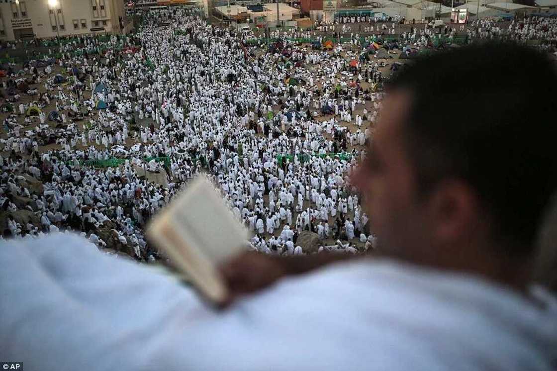 Muslims Gather At Mount Arafat To Mark Peak Of Hajj 2015 Muslims Gather At Mount Arafat To Mark Peak Of Hajj 2015