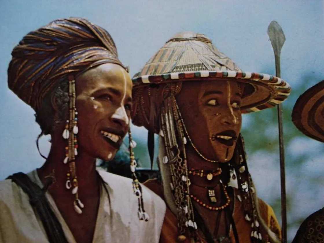 Fulani people and states in Nigeria Fulani people and states in Nigeria