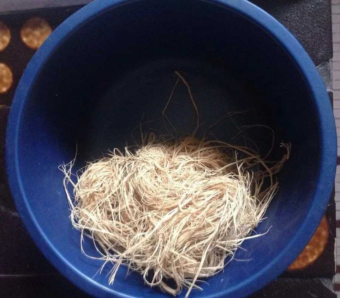 10 things you will find in a Nigerian's bathroom 10 things you will find in a Nigerian's bathroom