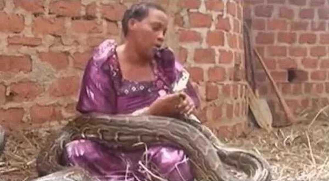 Wawu! Woman who gave birth to a girl and a python refuses to let go of the snake Wawu! Woman who gave birth to a girl and a python refuses to let go of the snake