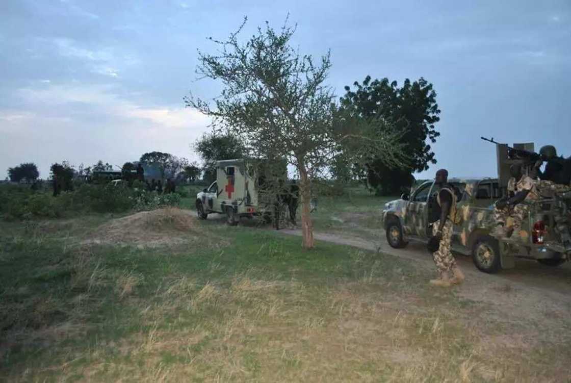 BREAKING: MNJTF arrest 24 Boko Haram members BREAKING: MNJTF arrest 24 Boko Haram members
