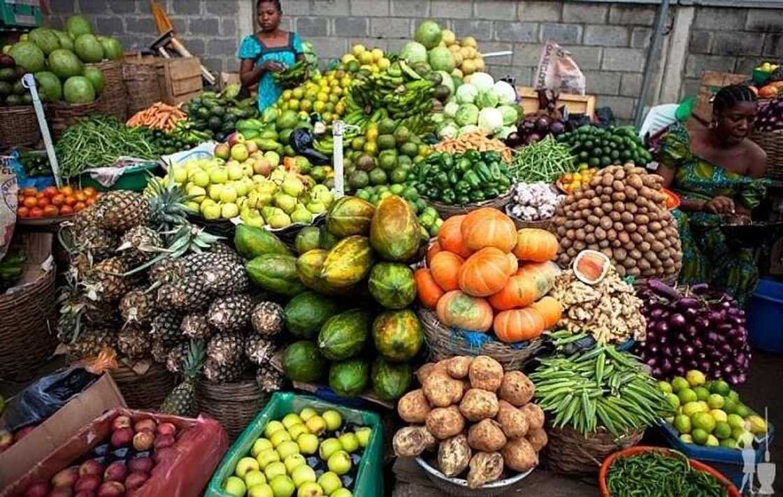 kinds of fruits kinds of fruits
