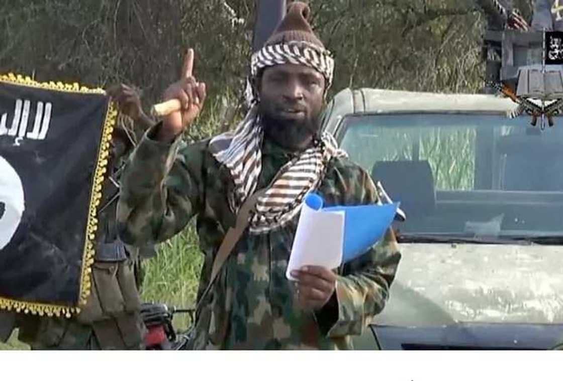 All is not well with Shekau - source claims All is not well with Shekau - source claims