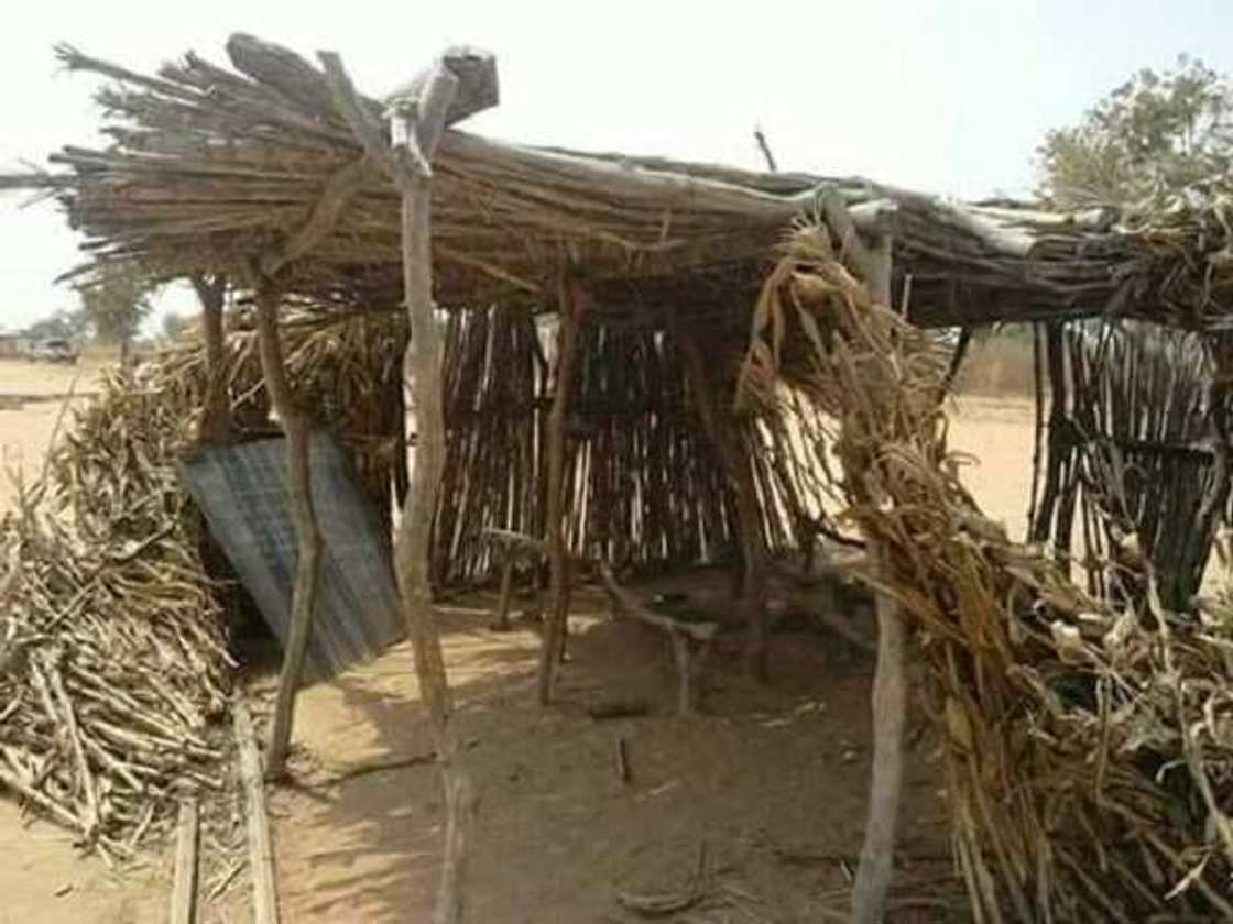 Tabarbarewar ilimi: Duba hotunan wata makarantar Firamaren arewa da babu ko bulo Tabarbarewar ilimi: Duba hotunan wata makarantar Firamaren arewa da babu ko bulo