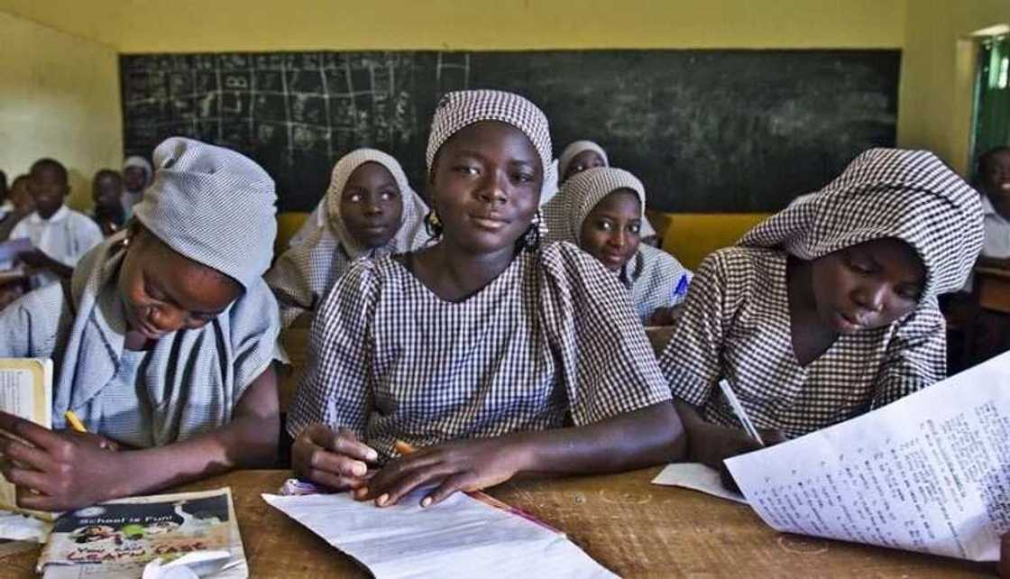 Girls studying