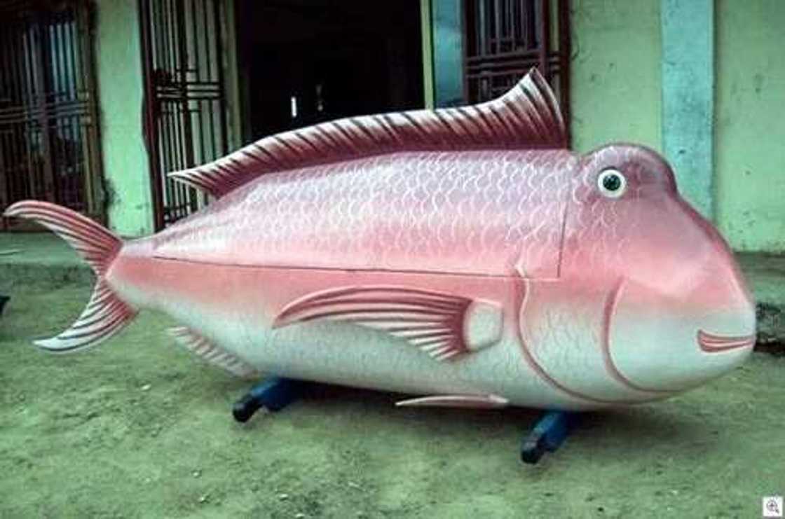 Akwatunan zamani na shiga kabari da Suwaga (Hotuna) Akwatunan zamani na shiga kabari da Suwaga (Hotuna)