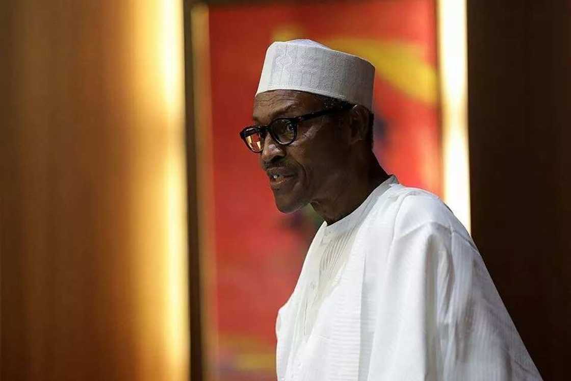 6 powerful cabals that have hijacked Buhari's government 6 powerful cabals that have hijacked Buhari's government