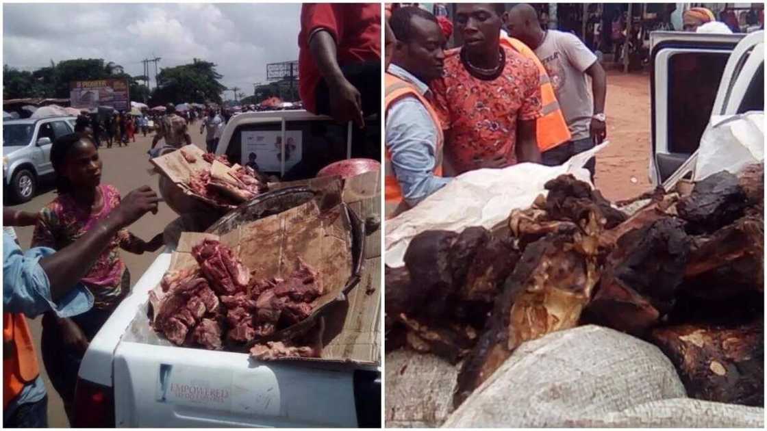 Kungiyar mahauta ta koka akan yawaitar sayar da naman jaki a kasuwanin kudu Kungiyar mahauta ta koka akan yawaitar sayar da naman jaki a kasuwanin kudu