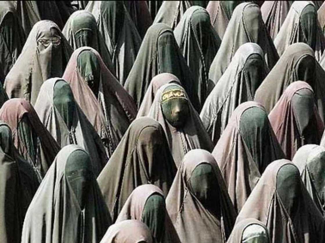 Sharia law Sharia law