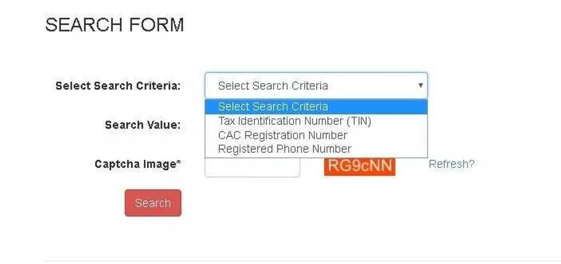 TIN Online verification