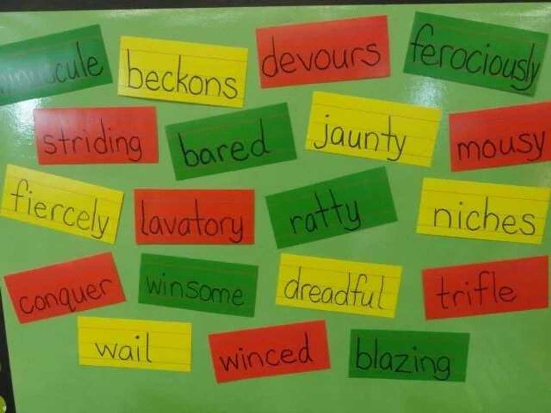 Different words Different words