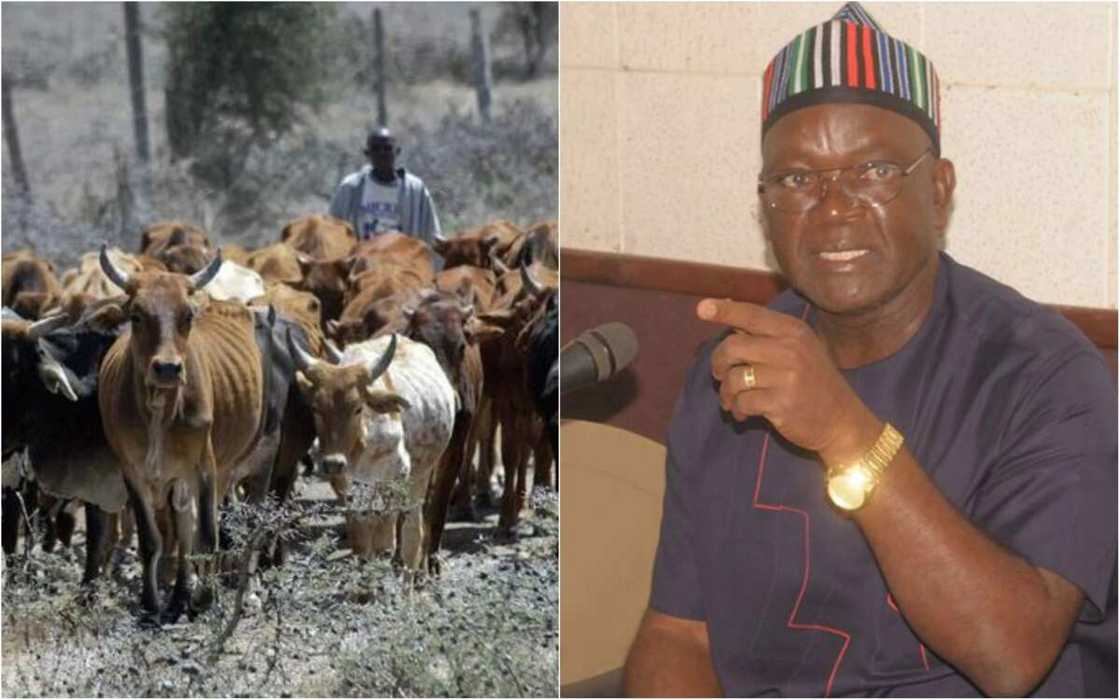 An kuma kashe mutane 5 a wani sabon rikici a Jihar Benuwe An kuma kashe mutane 5 a wani sabon rikici a Jihar Benuwe