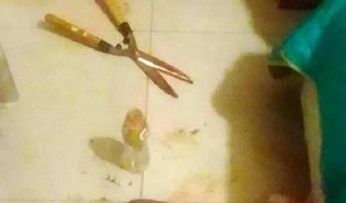 Yadda wata Budurwa ta yanke mazakutan Saurayinta da almakashi bayan ya fitar da bidiyon kwanciyarsu Yadda wata Budurwa ta yanke mazakutan Saurayinta da almakashi bayan ya fitar da bidiyon kwanciyarsu