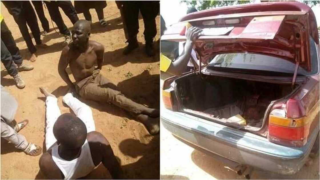 Kwana dubu na barawo, kwana daya na mai kaya: an kama barayin Awaki a Gombe (Hotuna) Kwana dubu na barawo, kwana daya na mai kaya: an kama barayin Awaki a Gombe (Hotuna)