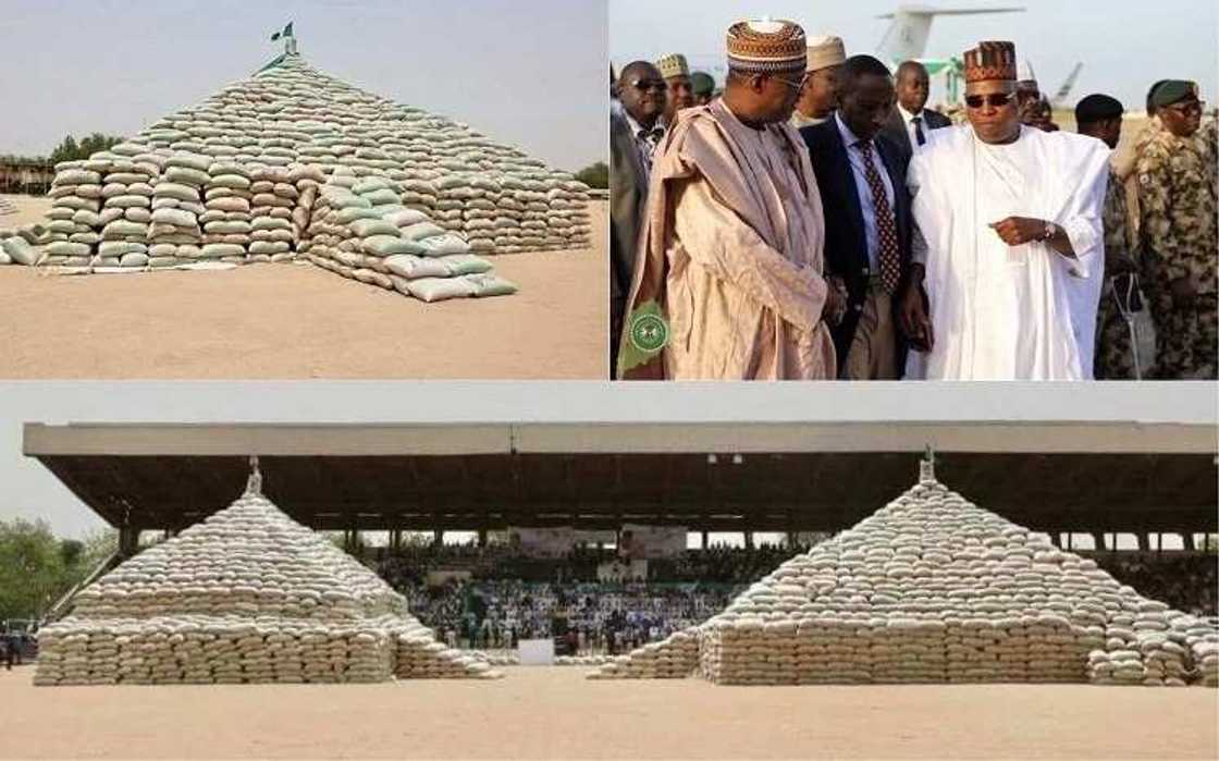 Dalar shinkafa: An kaddamar da shirin bunkasa noman shinkafa a jihar Borno Dalar shinkafa: An kaddamar da shirin bunkasa noman shinkafa a jihar Borno