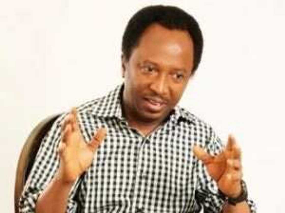 Abubuwa 5 da arewa zatayi domin magance talauci - Senata Shehu Sani Abubuwa 5 da arewa zatayi domin magance talauci - Senata Shehu Sani