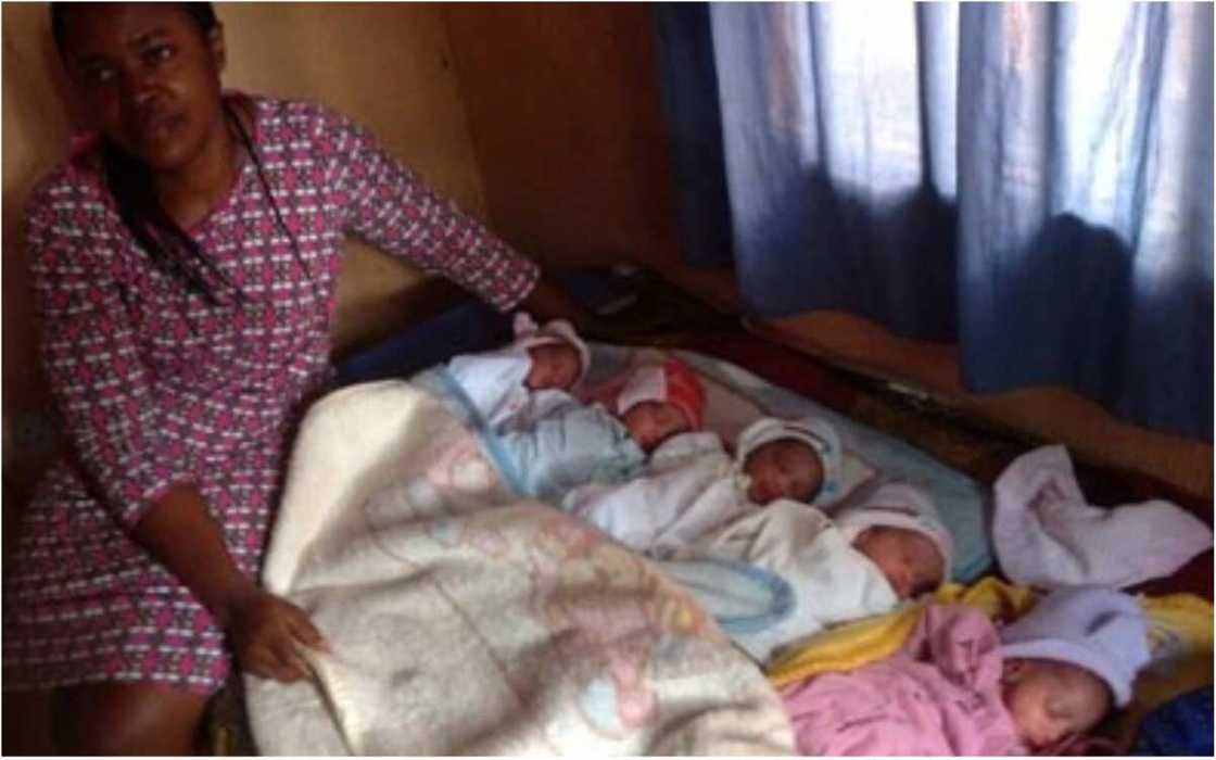 five babies five babies