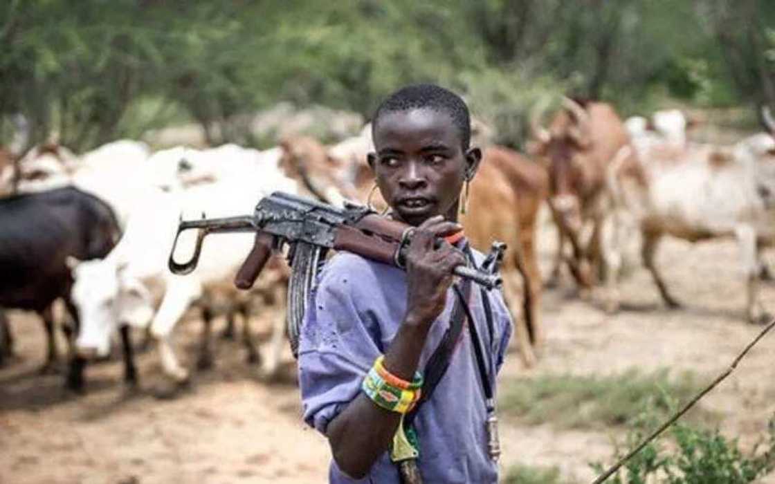 Yan bindiga sun kai hari Taraba, sun kashe wani basarake Yan bindiga sun kai hari Taraba, sun kashe wani basarake