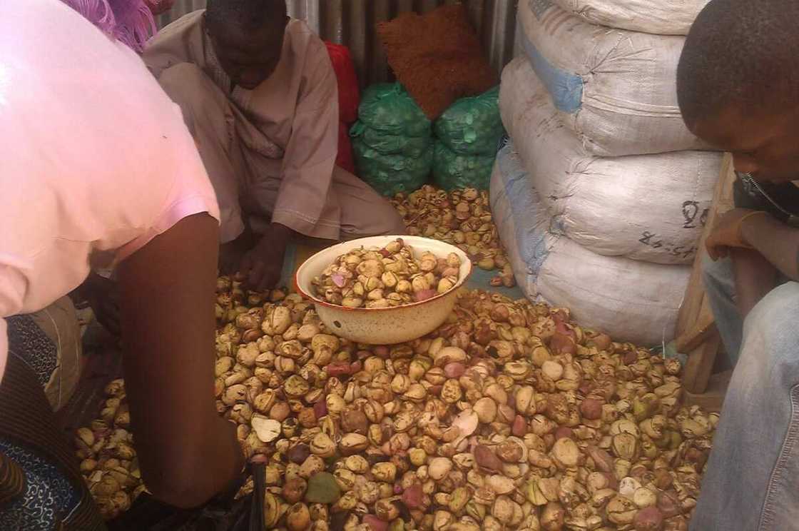 Travel Thursday: 7 Cultural Items Common To All Nigerians Travel Thursday: 7 Cultural Items Common To All Nigerians