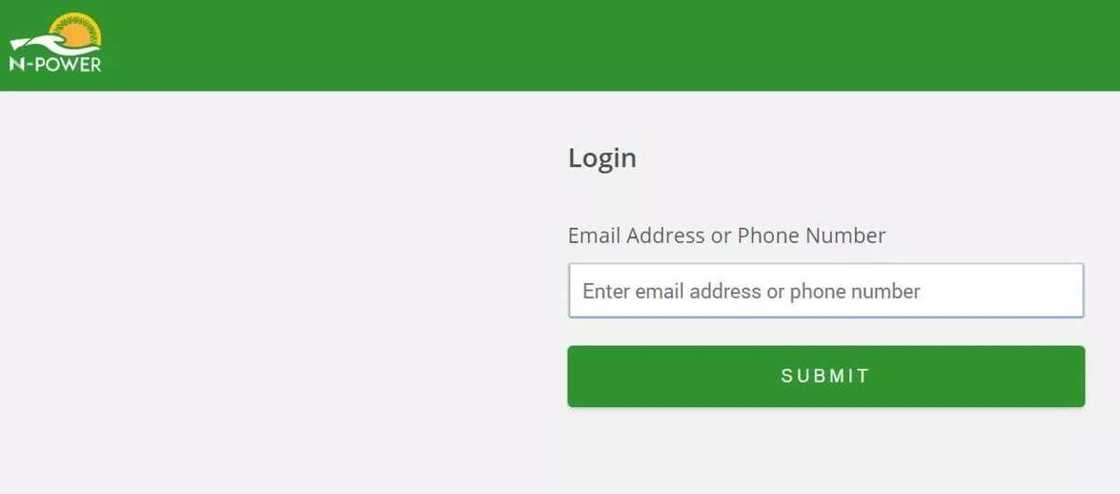 How to check NPower shortlisted candidates online How to check NPower shortlisted candidates online