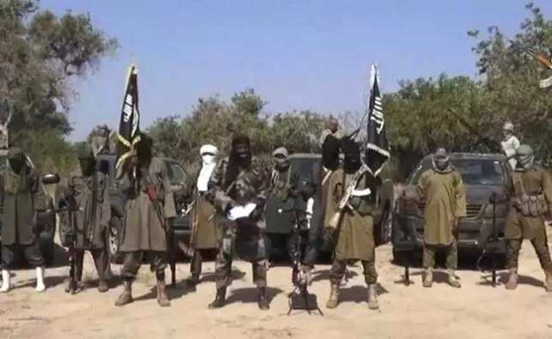 Sojojin Operation lafiya Dole sun kashe dinbin ‘Yan Boko Haram a Yankin tafkin Chadi