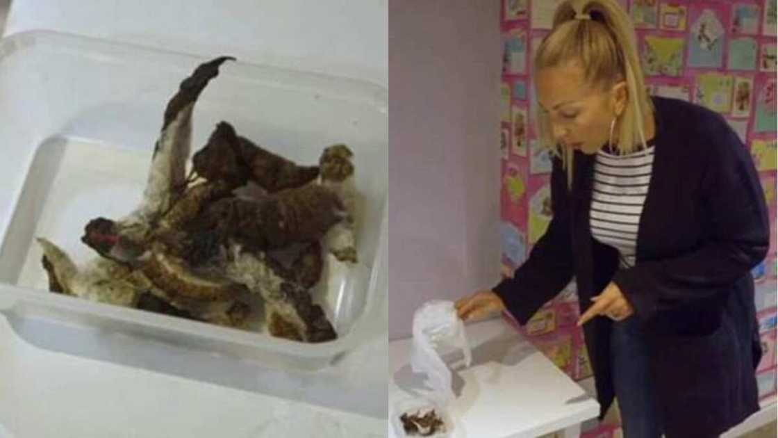 Popular Instagram slay queen disgraced by landlord over filthy apartment and unpaid rent Popular Instagram slay queen disgraced by landlord over filthy apartment and unpaid rent