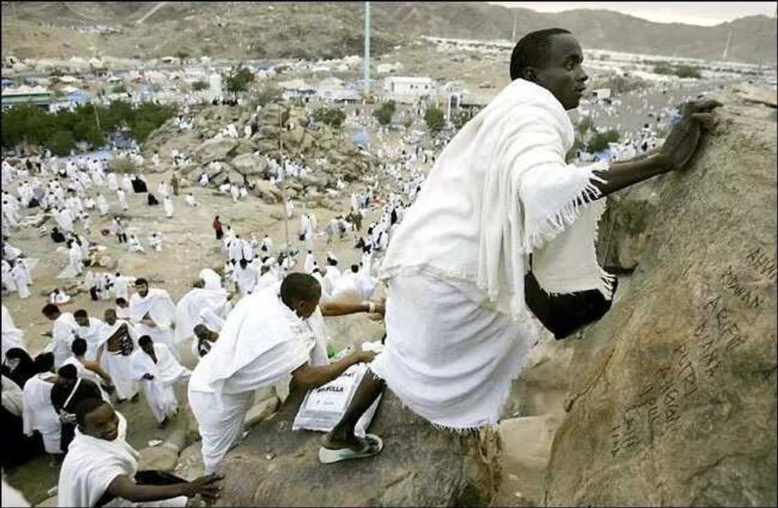 Mazauna Saudiyya ne kadai za su Hajjin bana, Ma'aikatar Hajji da Umrah Mazauna Saudiyya ne kadai za su Hajjin bana, Ma'aikatar Hajji da Umrah