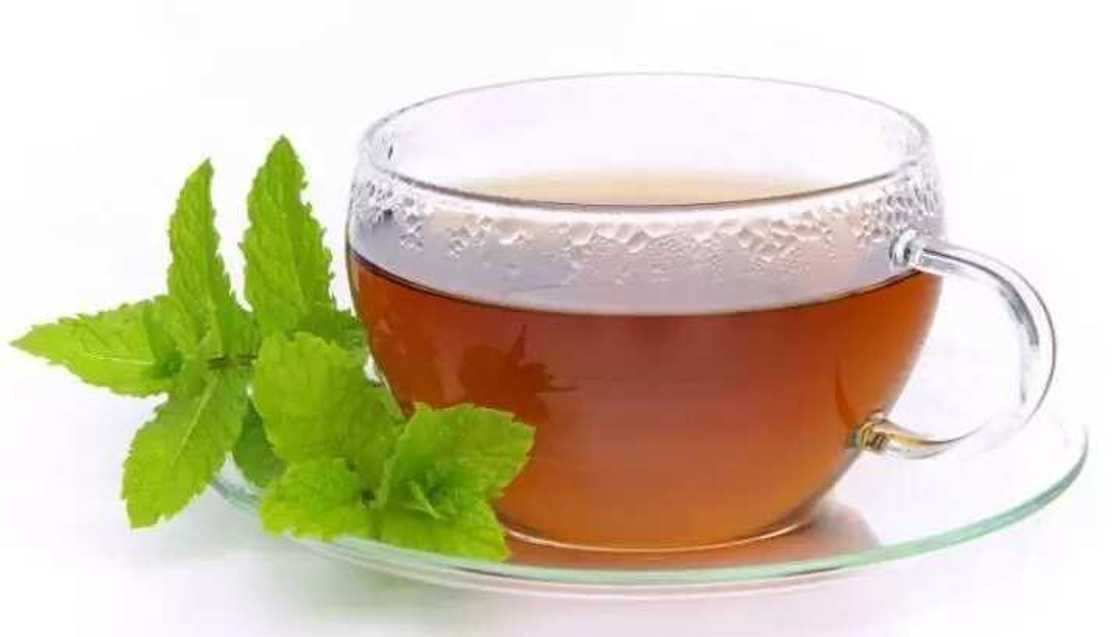 tea mint leaves tea mint leaves