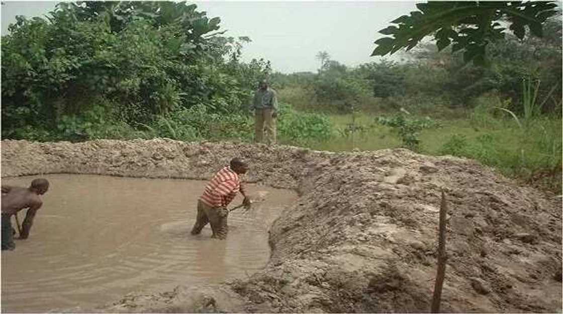 men dig a fish pond