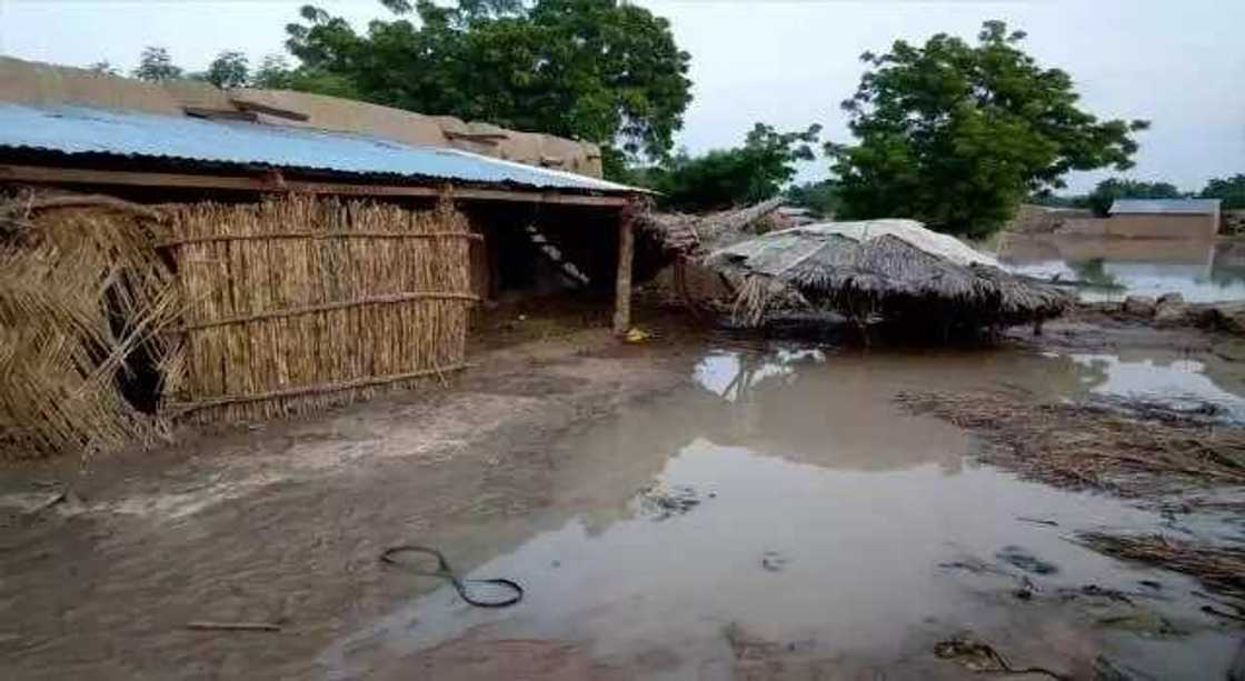 Hotuna: Anbaliyan ruwa yayi barna a jihar Yobe Hotuna: Anbaliyan ruwa yayi barna a jihar Yobe