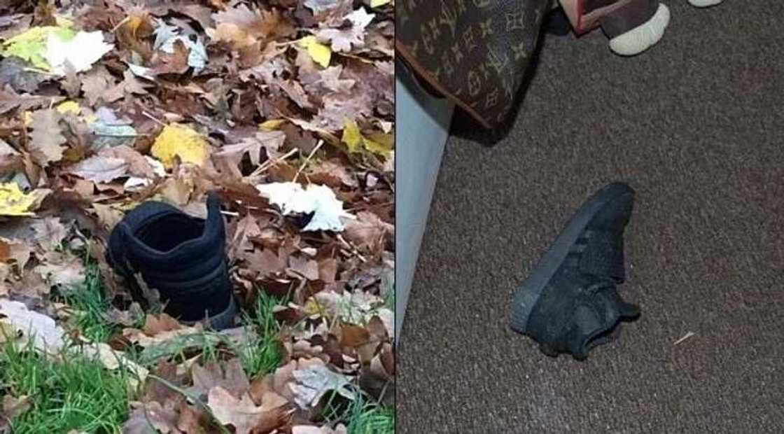 The lost shoe found in bush
Source: Daily news The lost shoe found in bush
Source: Daily news