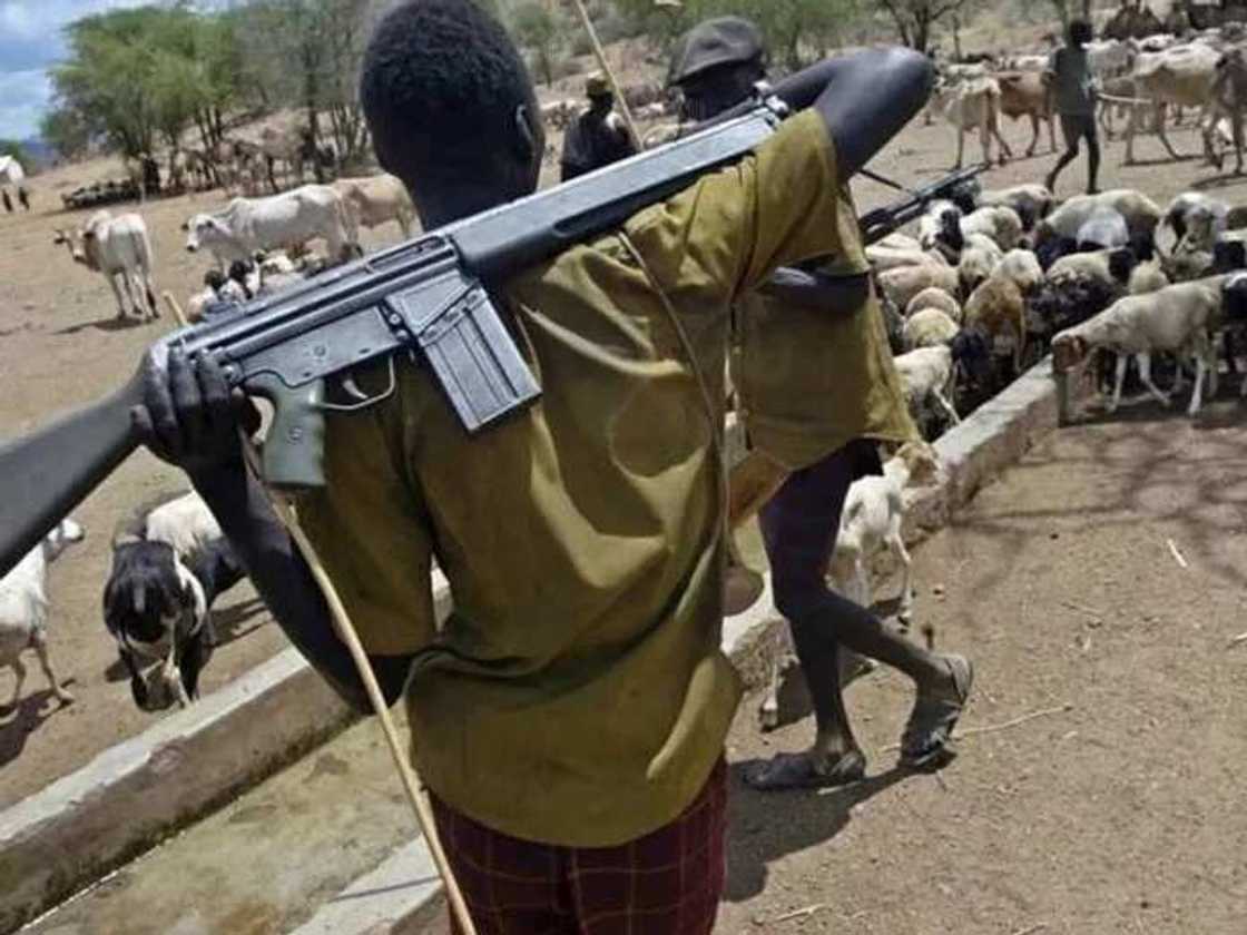 An damke wani makiyayi dauke da bindiga kirar AK47 a jihar Enugu An damke wani makiyayi dauke da bindiga kirar AK47 a jihar Enugu
