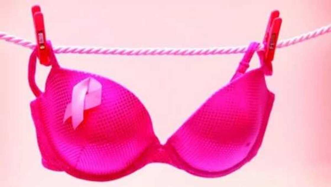 10 Surprising Facts About Breasts You May Have Missed 10 Surprising Facts About Breasts You May Have Missed