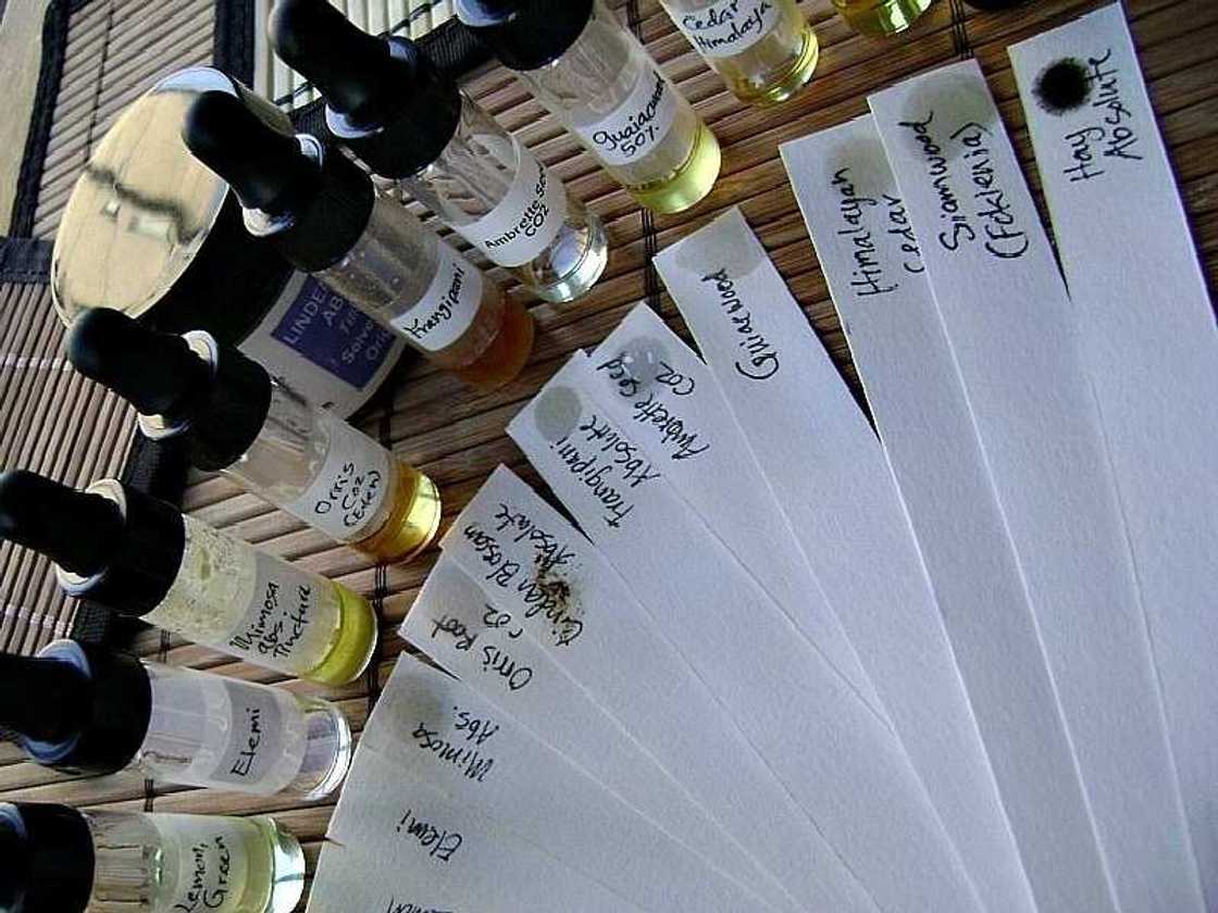 Study of essential oils