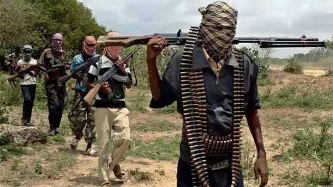 Boko Haram killed 20,000 people in 4 years – Presidency Boko Haram killed 20,000 people in 4 years – Presidency
