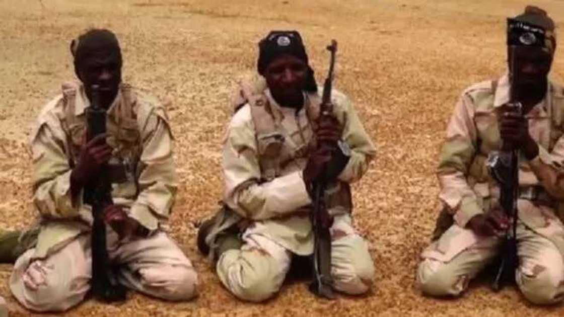 Mayakan Boko Haram sun fara komawa dajin Taraba Mayakan Boko Haram sun fara komawa dajin Taraba