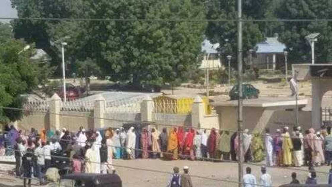 Breaking: Twin Blasts Rock Maiduguri, Over 20 Feared Dead Breaking: Twin Blasts Rock Maiduguri, Over 20 Feared Dead